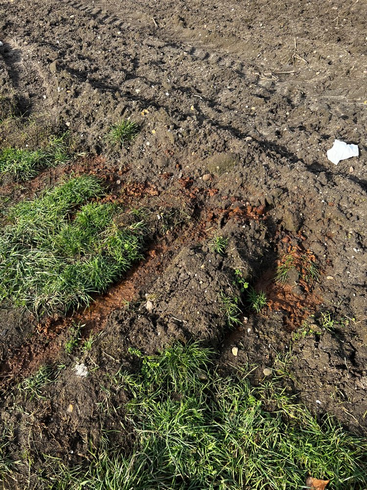 Giftköder-Dünger Kot am Feldrand-Profilbild