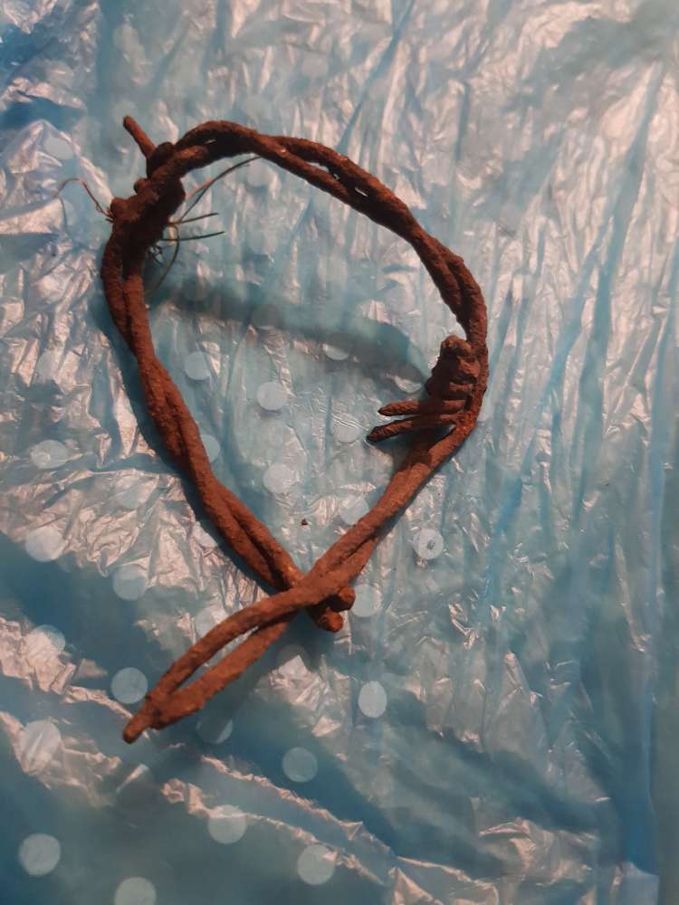 Giftköder-Draht und Drohung-Profilbild