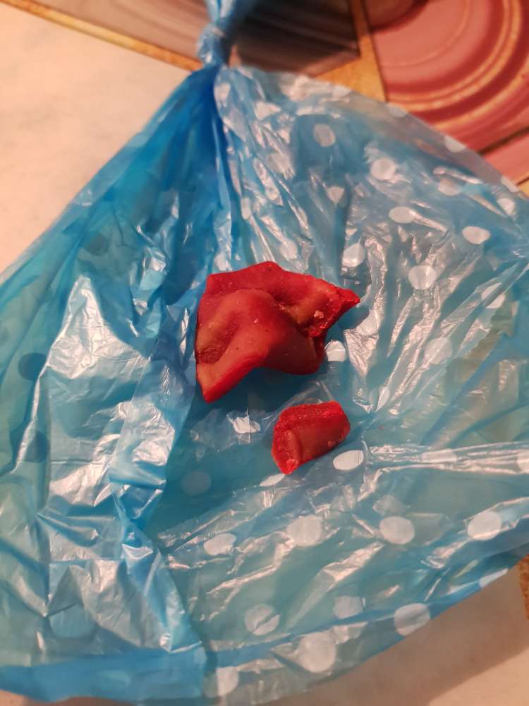 Giftköder-Giftköder-Profilbild