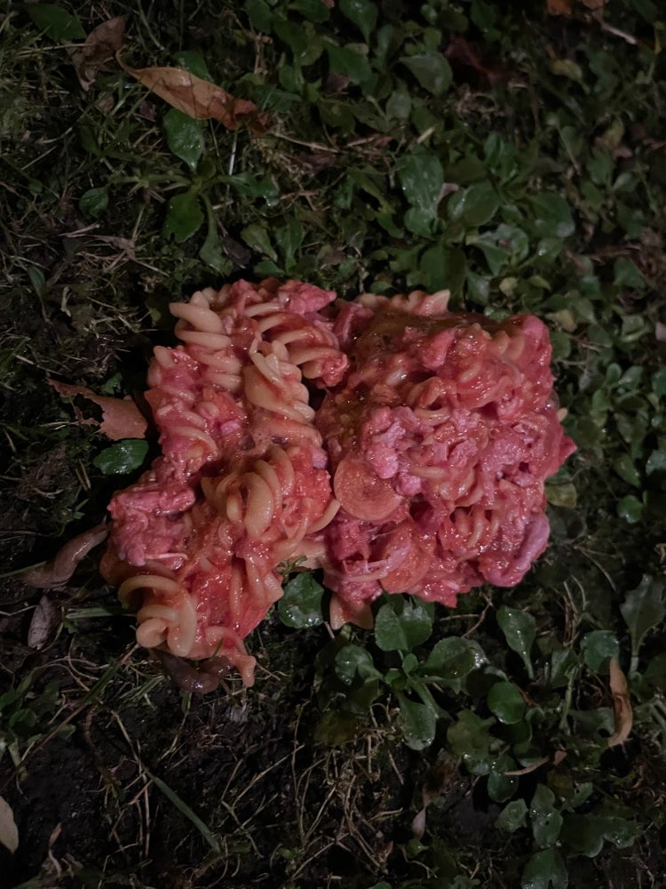 Giftköder-Mögl. Giftköder, Nudeln mit Tomatensoße-Profilbild