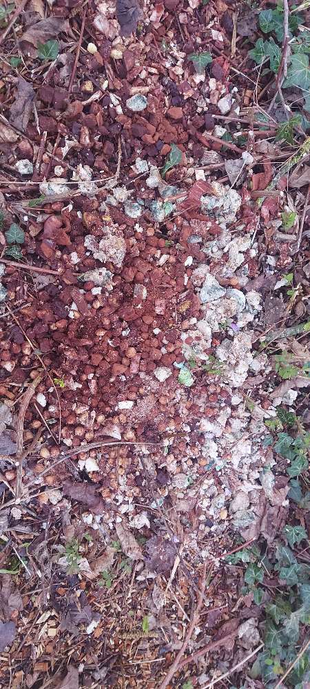 Giftköder-Verdächtige Lebensmittel-Profilbild