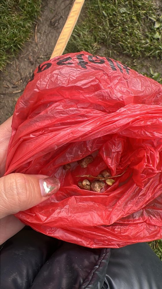 Giftköder-Giftköder-Verdacht-Profilbild