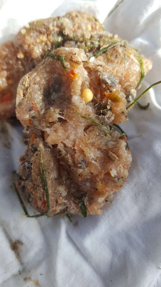 Giftköder-Hackfleisch mit komischen kügelchen-Profilbild