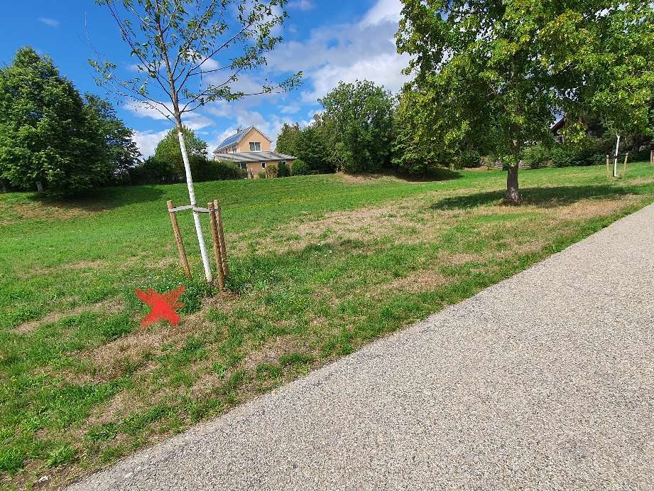 Giftköder-Giftköderalarm-Profilbild