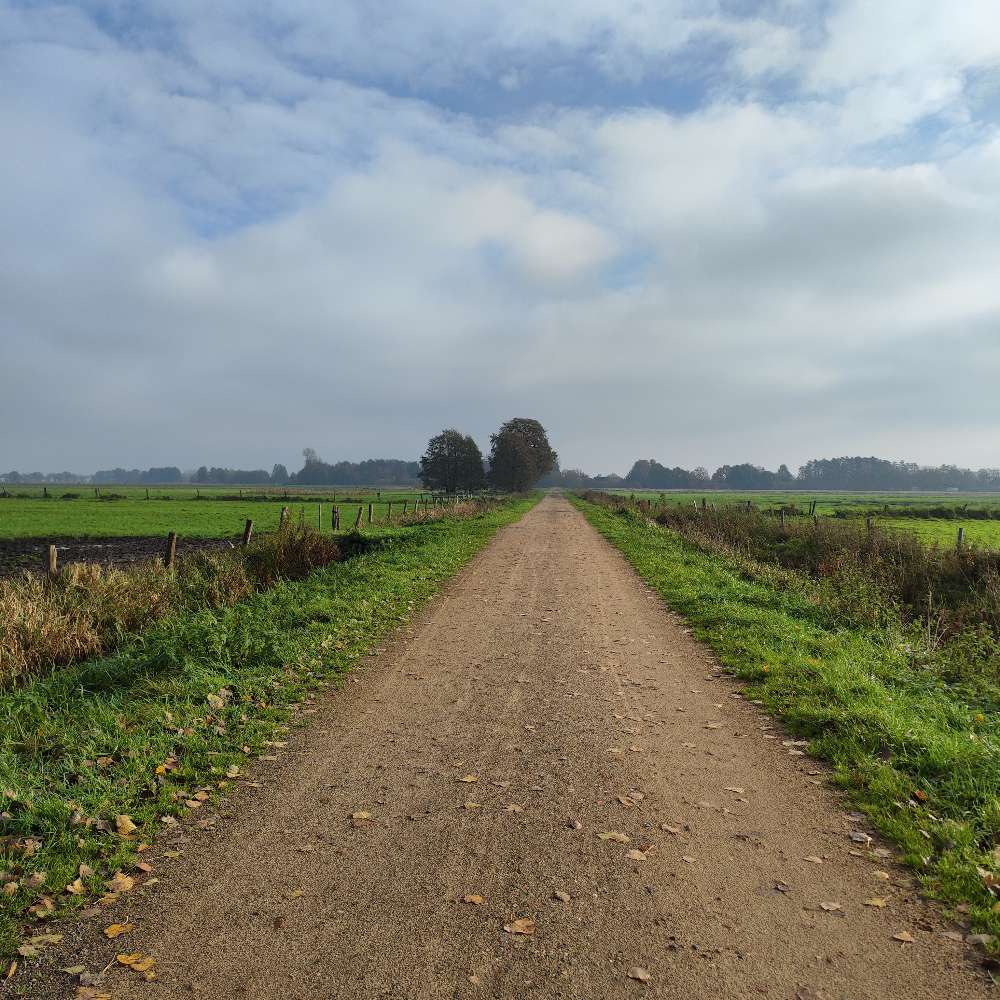 Hundetreffen-Hundesitting am Dümmer :)-Profilbild