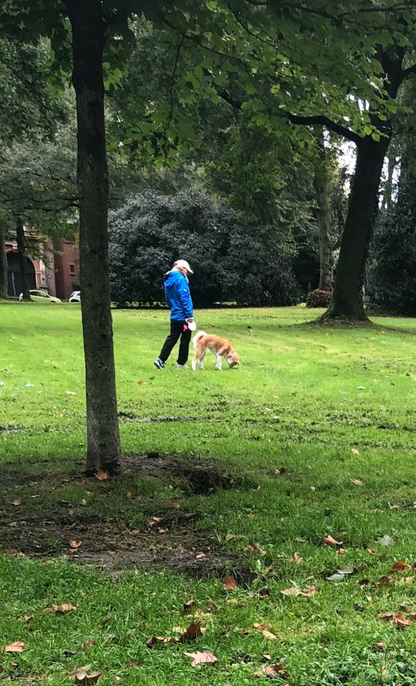 Giftköder-Gefährliche Hundehalterin-Profilbild