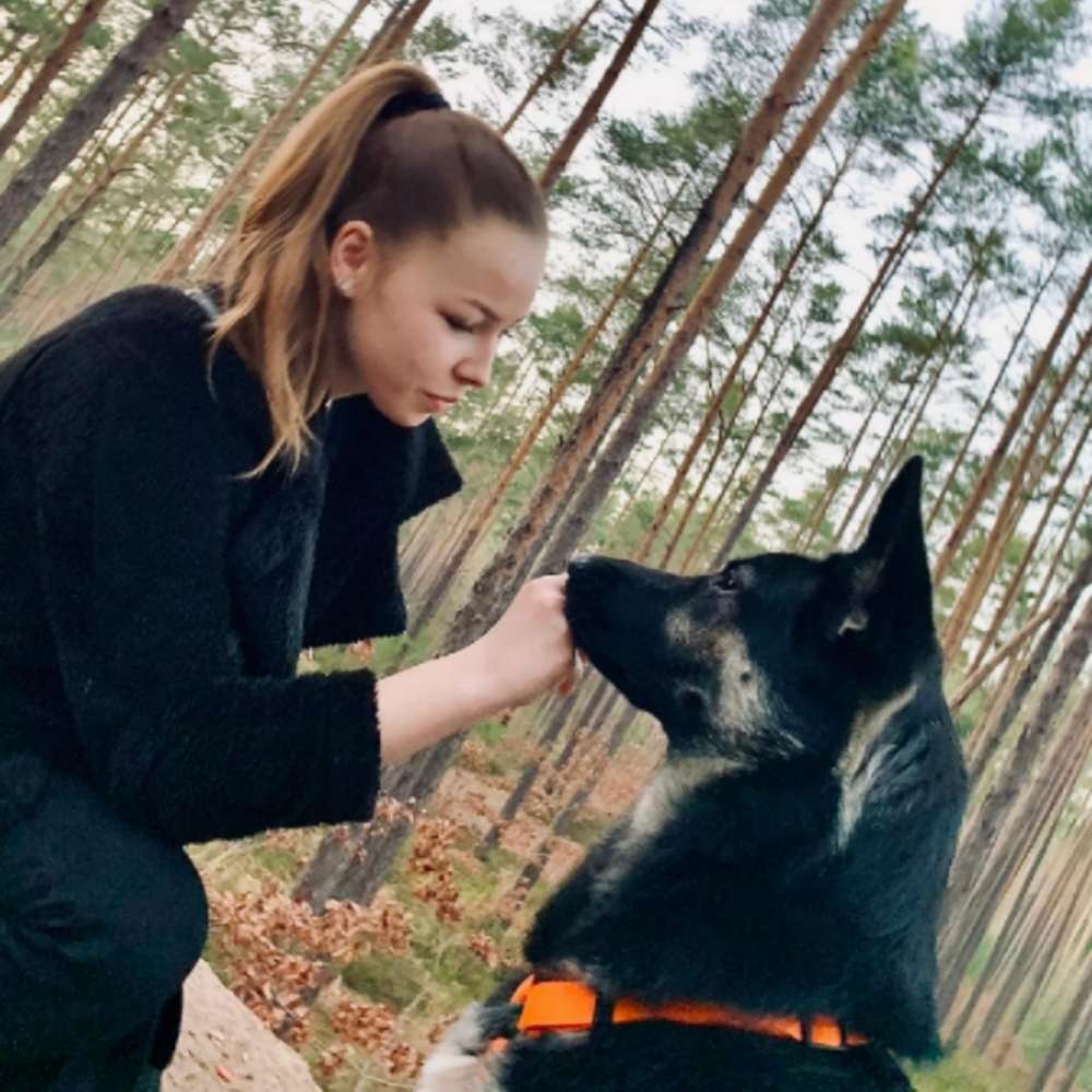 Hundetreffen-Spiel - und Spaß Freude!-Profilbild