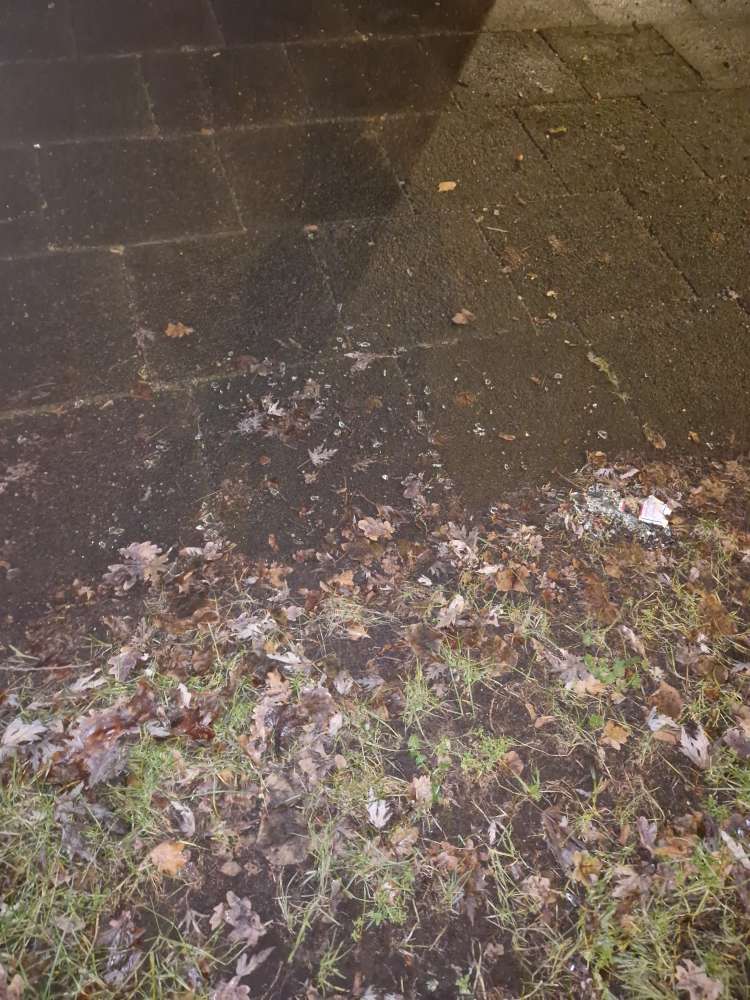 Giftköder-Glasscherben auf Weg und im Grad-Profilbild