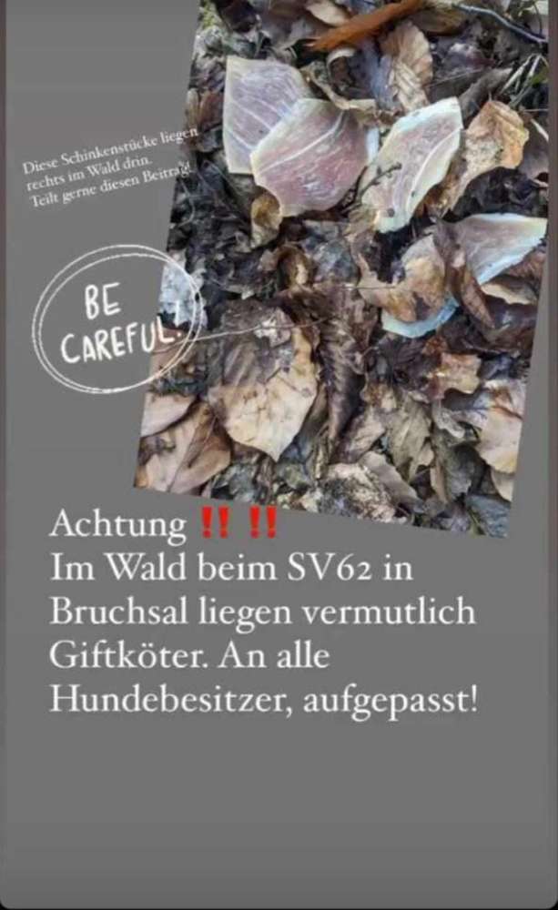 Giftköder-Eventuell Giftköder-Profilbild