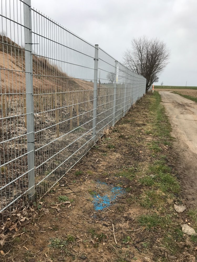 Giftköder-Blauekorn in Erftstadt Erp-Profilbild