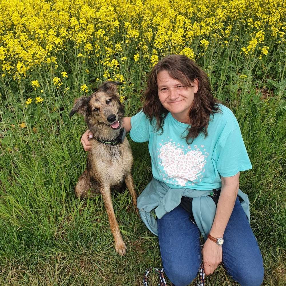 Hundetreffen-Spielen und Gassi gehen in und um Echzell-Profilbild