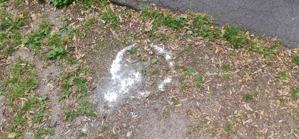 Giftköder-Weisses Pulver-Profilbild