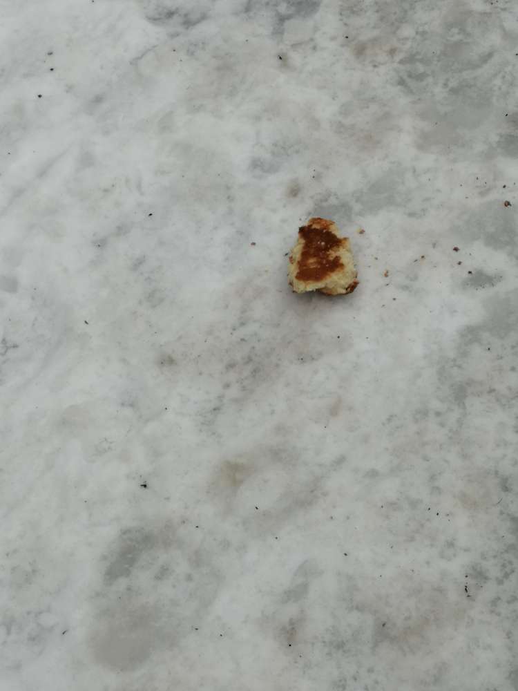 Giftköder-Ausgelegte Laugenstangen-Profilbild