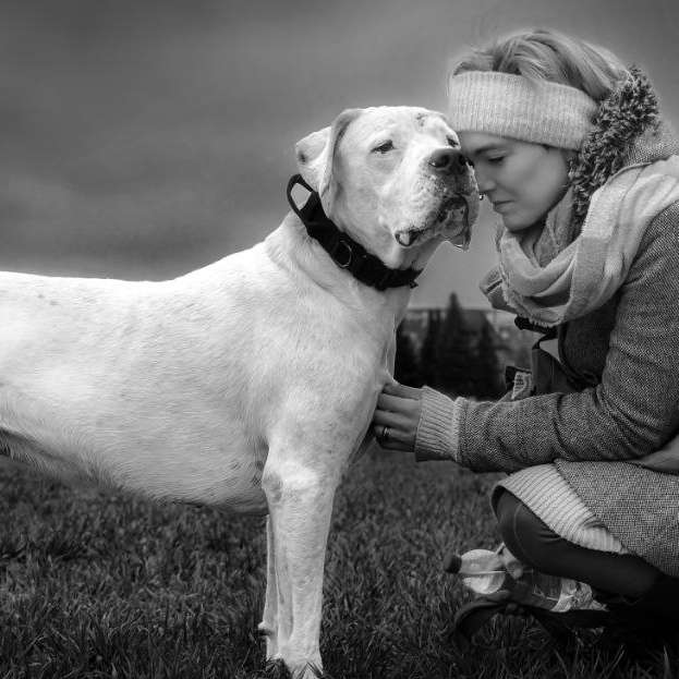 Hundetreffen-🙃Spielpartner -/in zum Toben gesucht-Profilbild