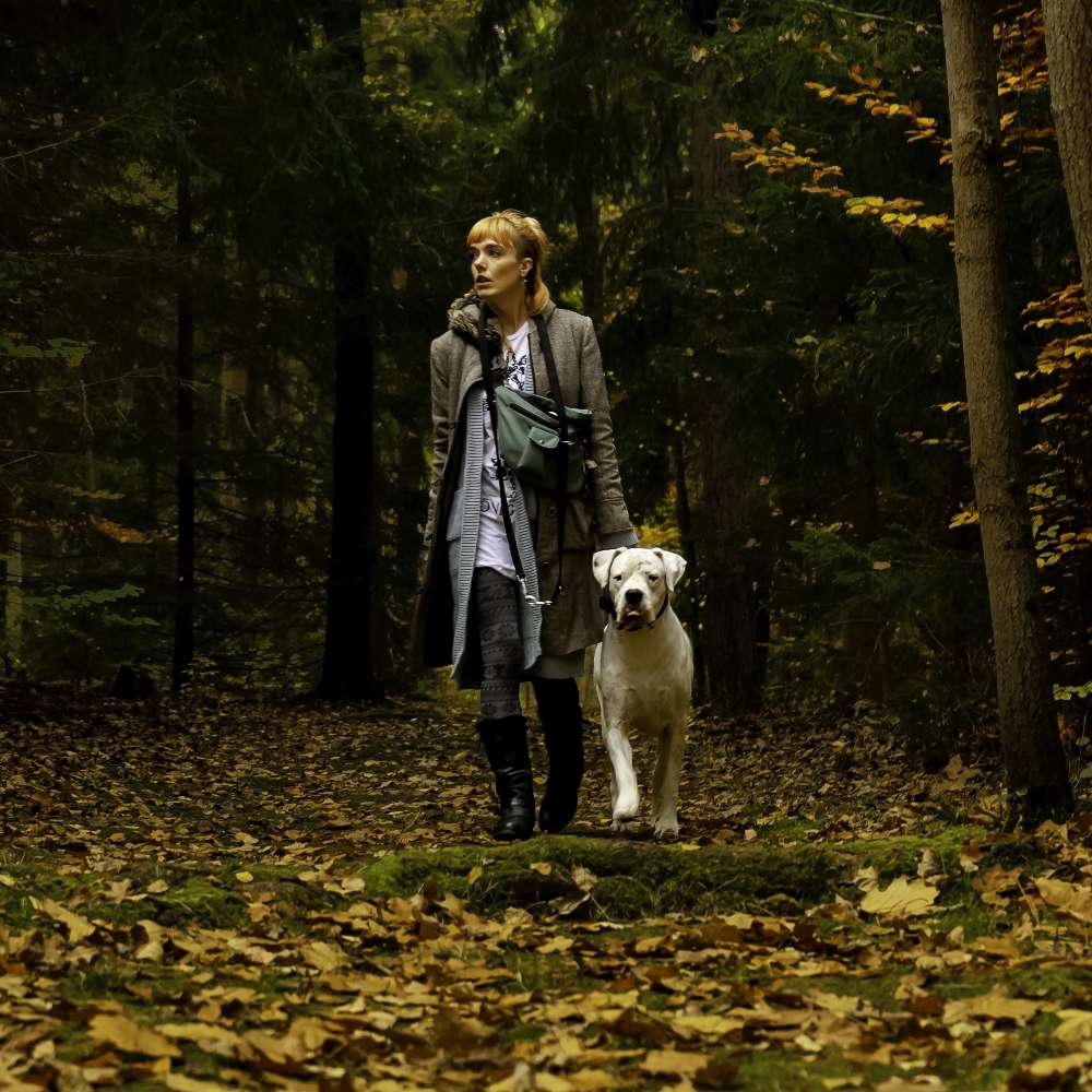 Hundetreffen-Sportliche Spiel und Gassi Runden-Profilbild