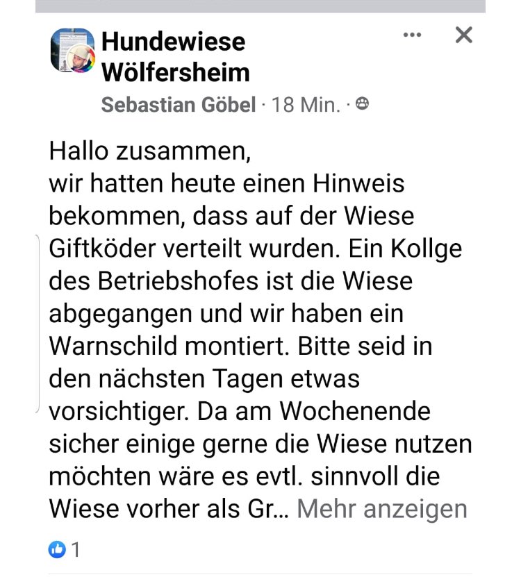 Giftköder-Giftköder-Profilbild