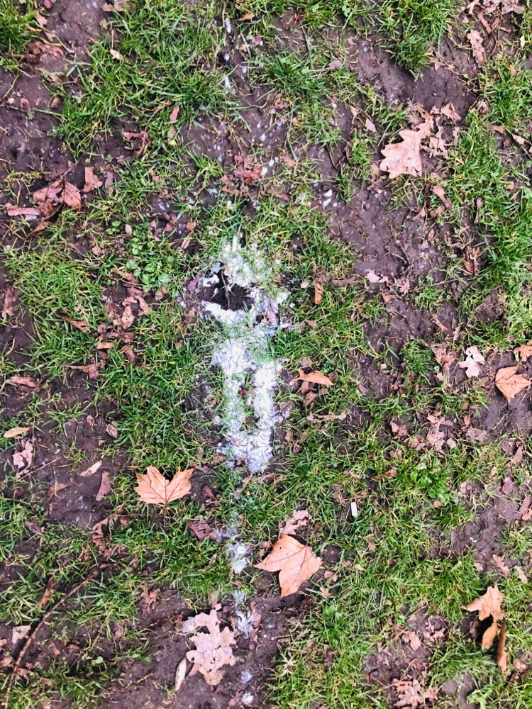 Giftköder-Weiße Paste im Graben am Rosengarten-Profilbild