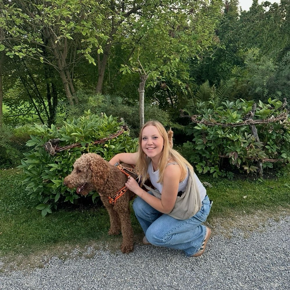 Hundetreffen-Playdate-Profilbild