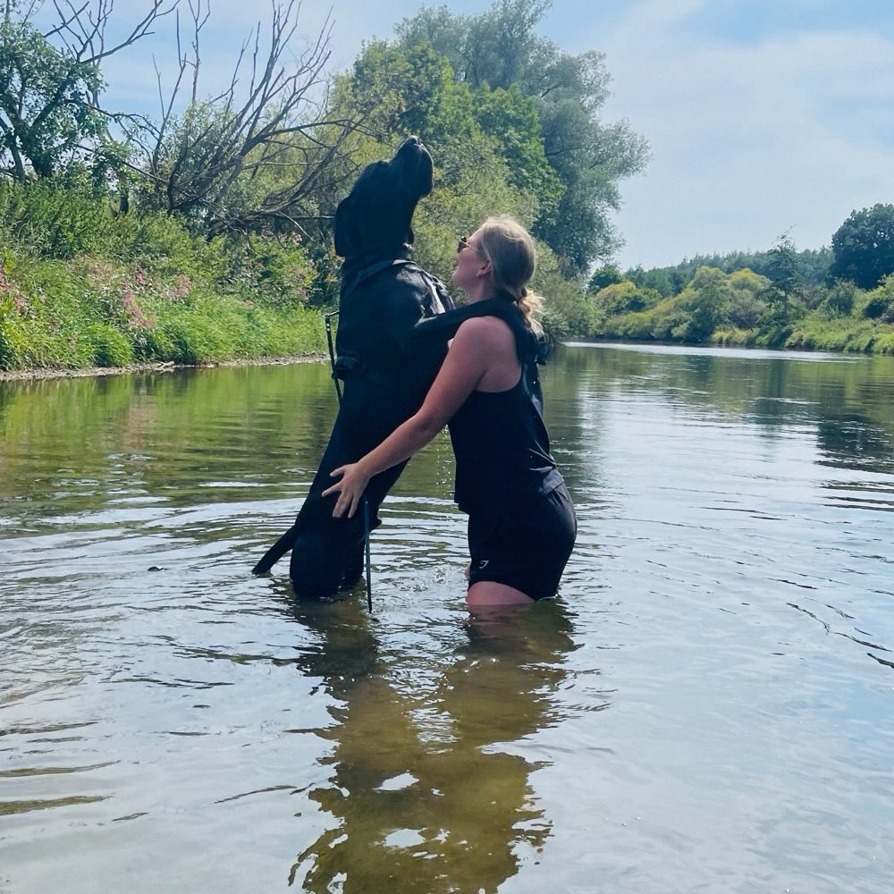 Ersteller:in Gassirunde mit deutschen Doggen Profilbild