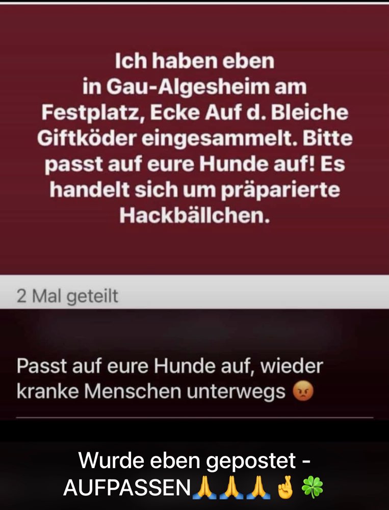 Giftköder-Giftköder-Profilbild