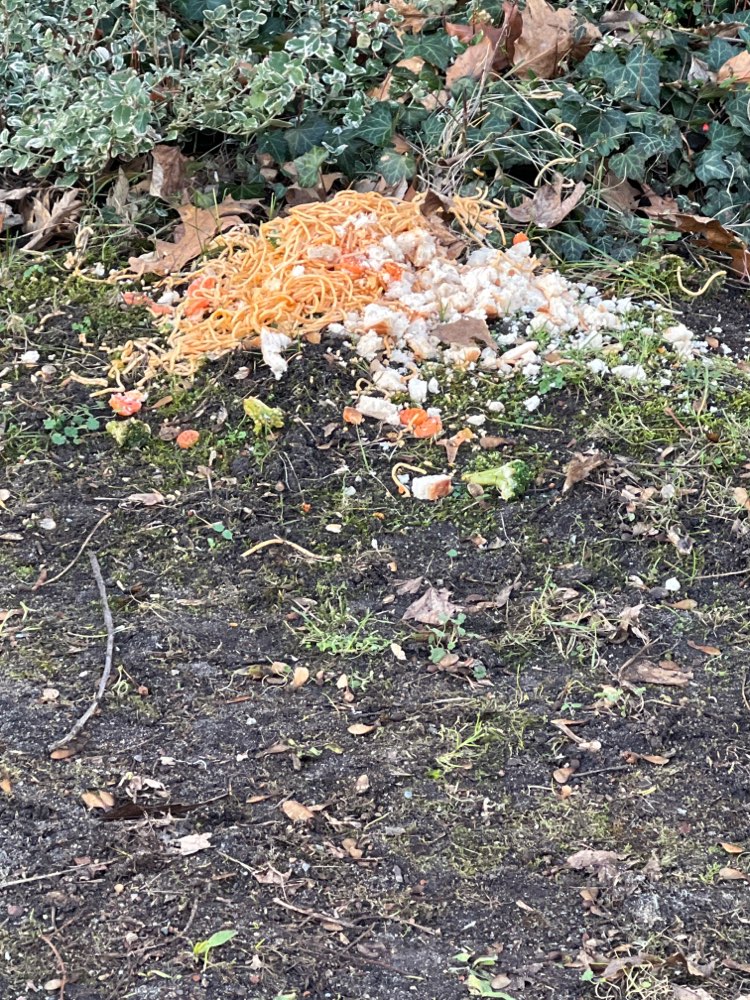 Giftköder-Evtl Gift essen auf der Wiese verstreut-Profilbild