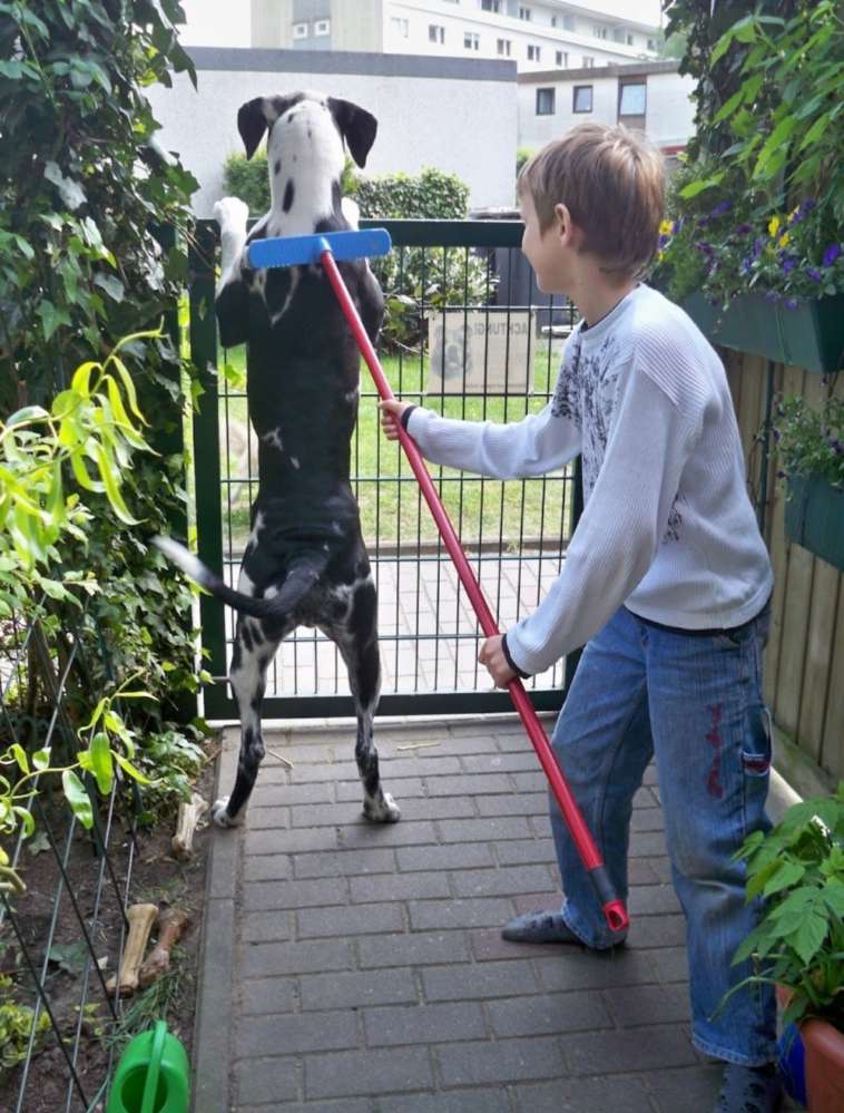 Körperpflege Banner