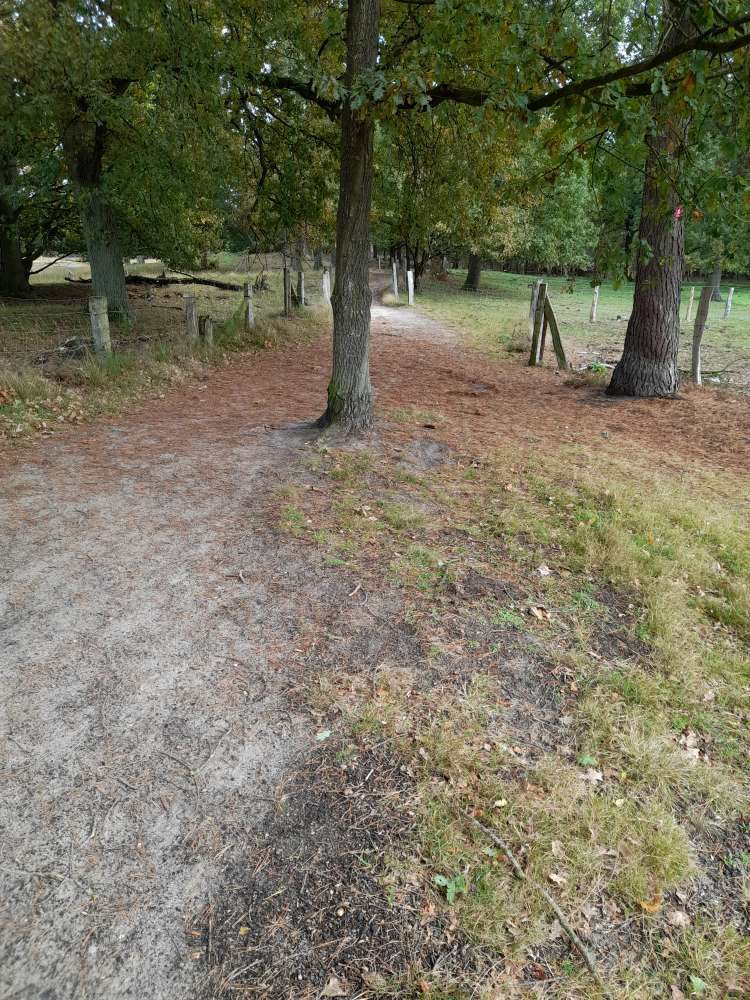 Giftköder-Nest EPs-Profilbild