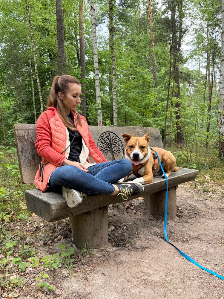 Hundetreffen-Entspannte Spaziergang im Wald 🌳 und Umkreis-Profilbild