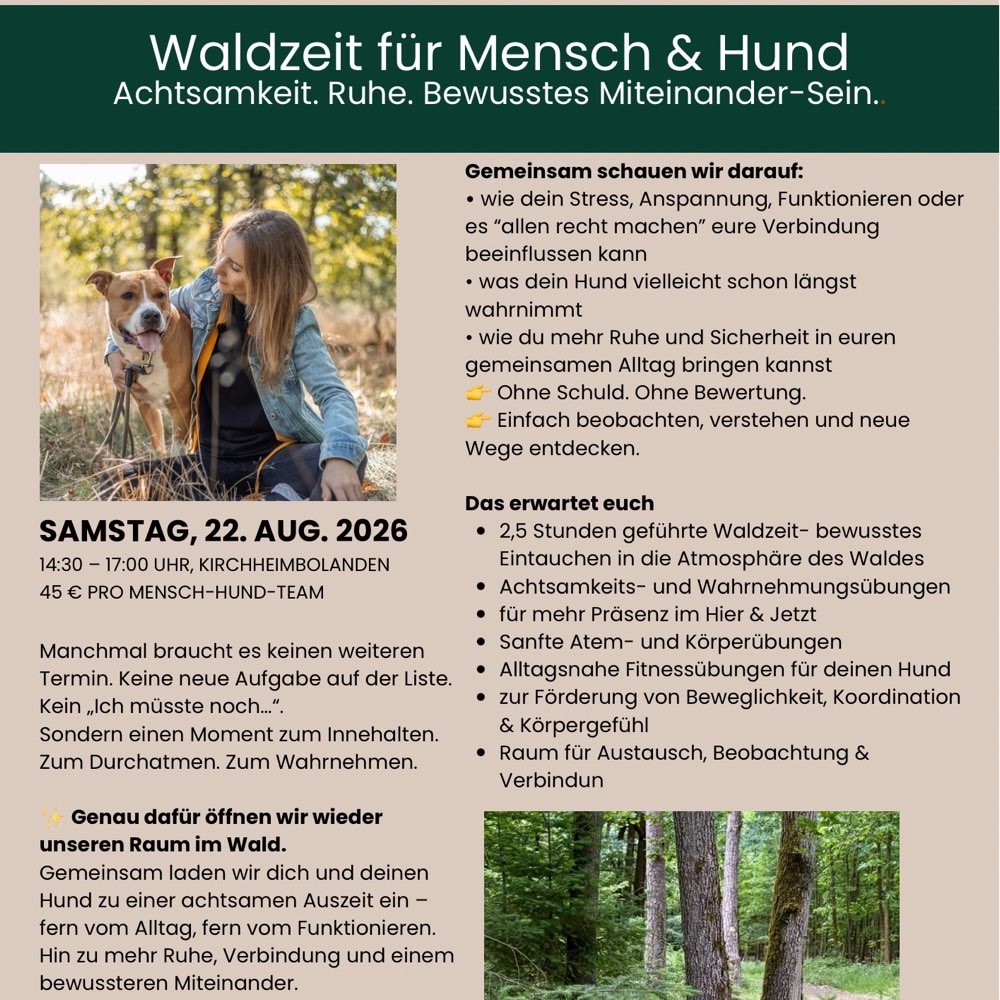 Hundetreffen-Waldzeit Mensch&Hund-Profilbild