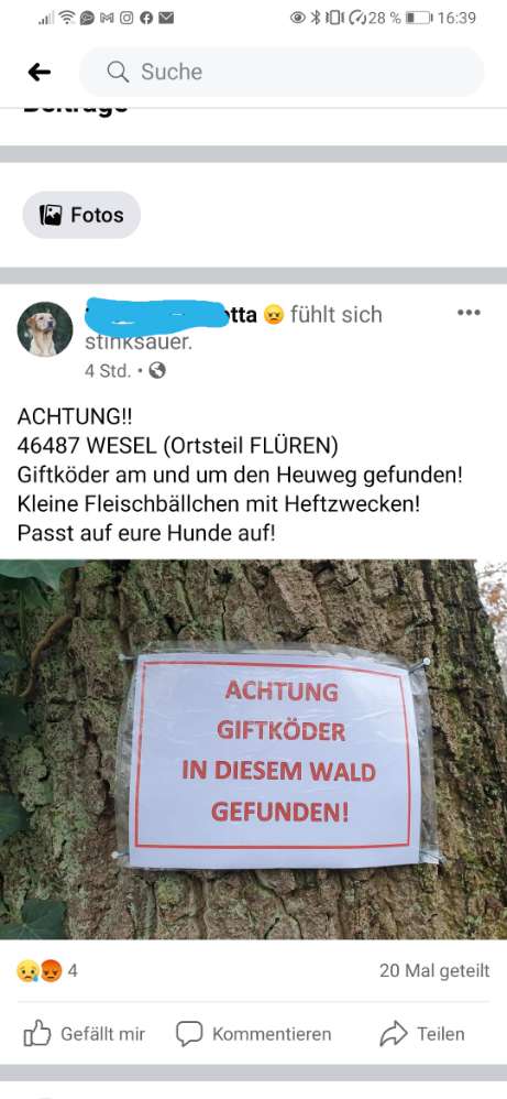 Giftköder-Giftköder-Profilbild