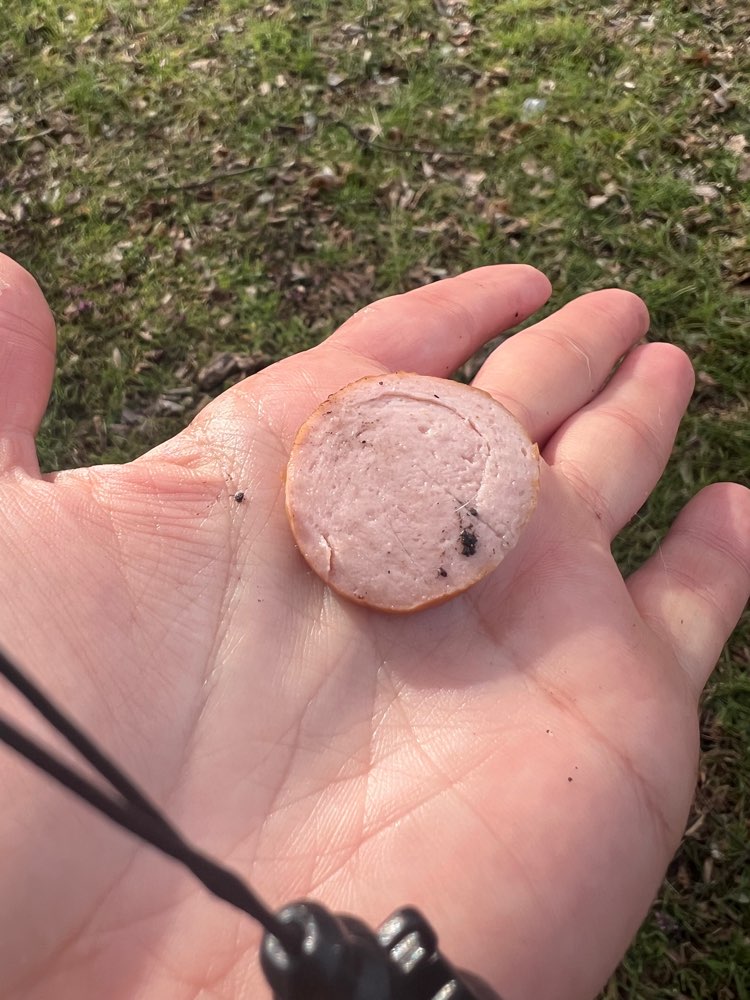 Giftköder-Giftköder-Profilbild