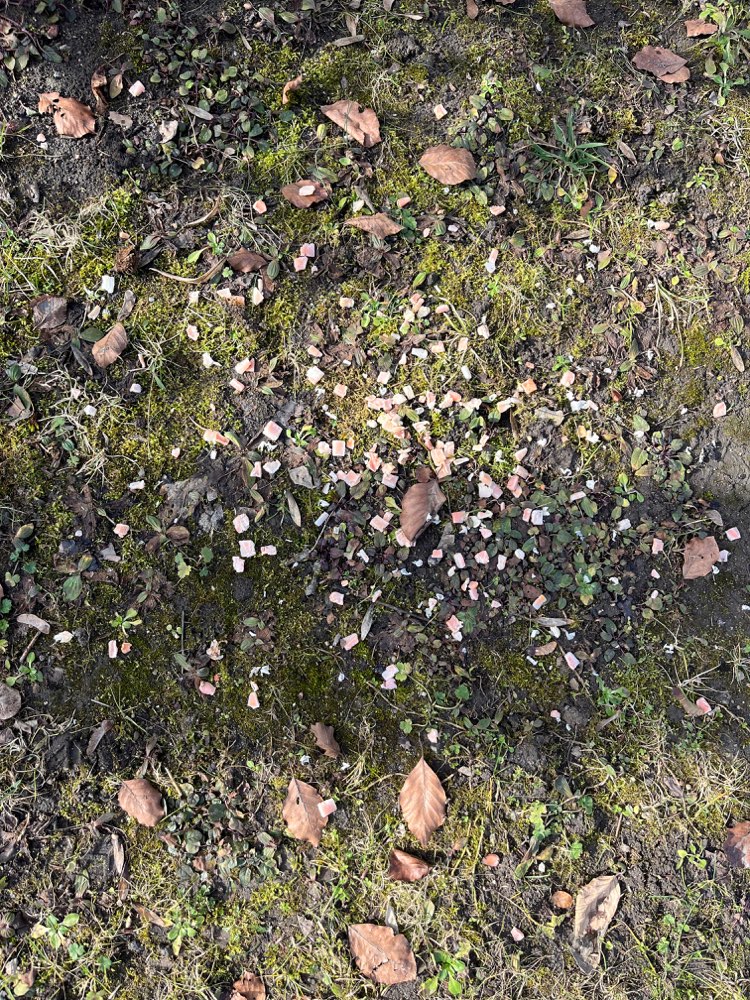 Giftköder-Mögliche Giftköder-Profilbild