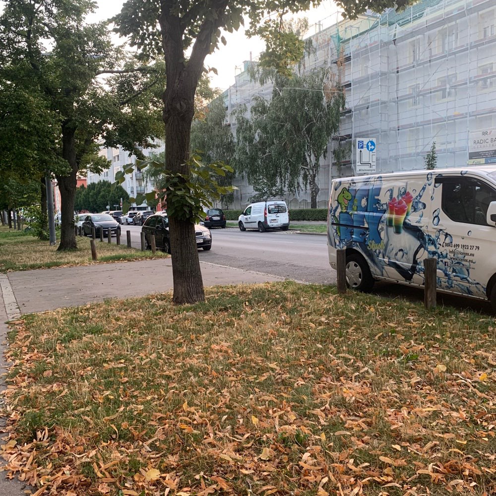 Giftköder-stark gewürztes rohes Hühnerfleisch!-Profilbild