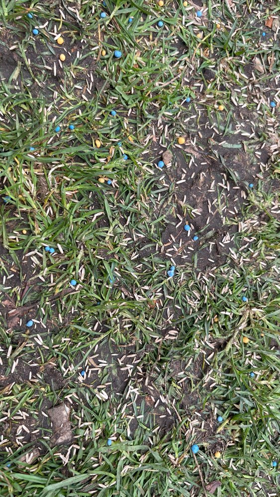 Giftköder-FYI: Basatop Rasen-Dünger auf Domplatz-Profilbild