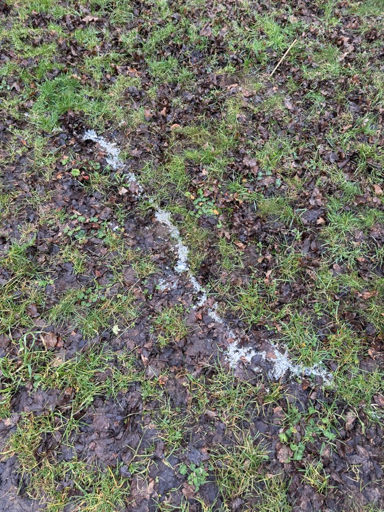 Giftköder-Weißes Pulver verstreut!!-Profilbild