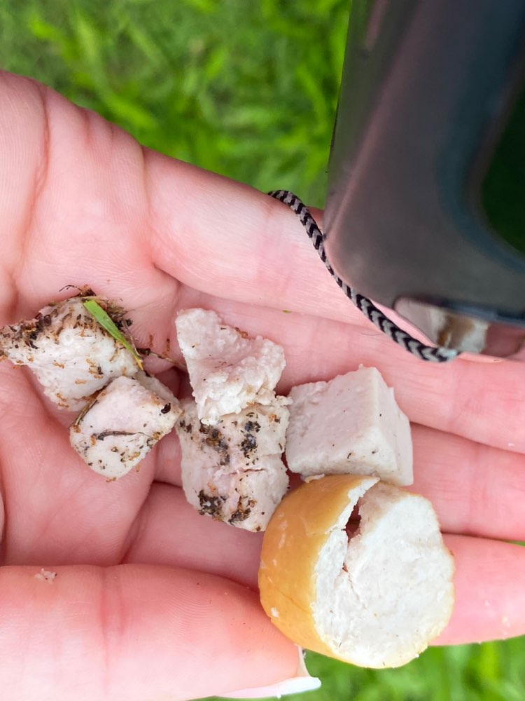 Giftköder-Achtung Fleischwurst verteilt !-Profilbild