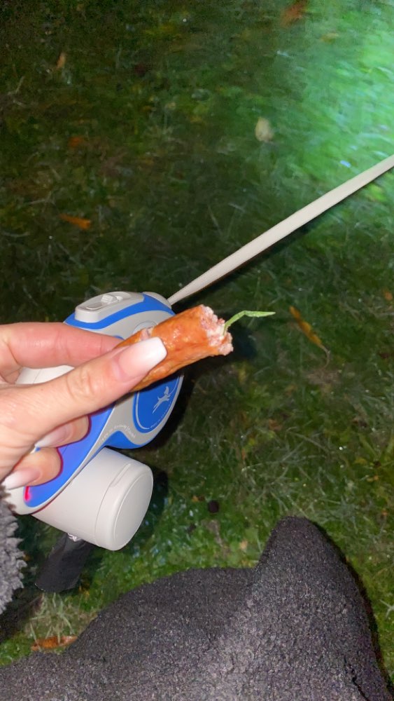 Giftköder-Achtung Würstchen !!-Profilbild