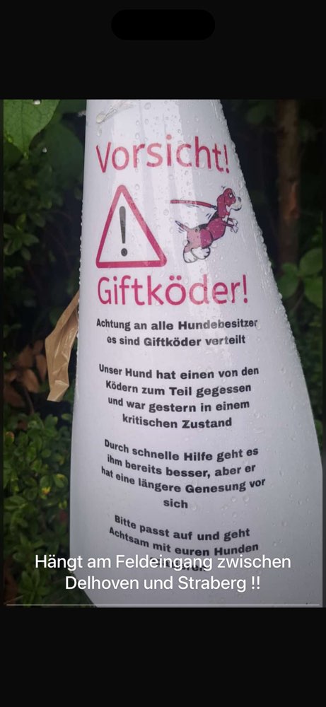 Giftköder-Giftköder-Profilbild