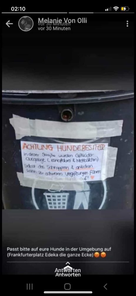 Giftköder-Giftköder in den Straßen verteilt-Profilbild