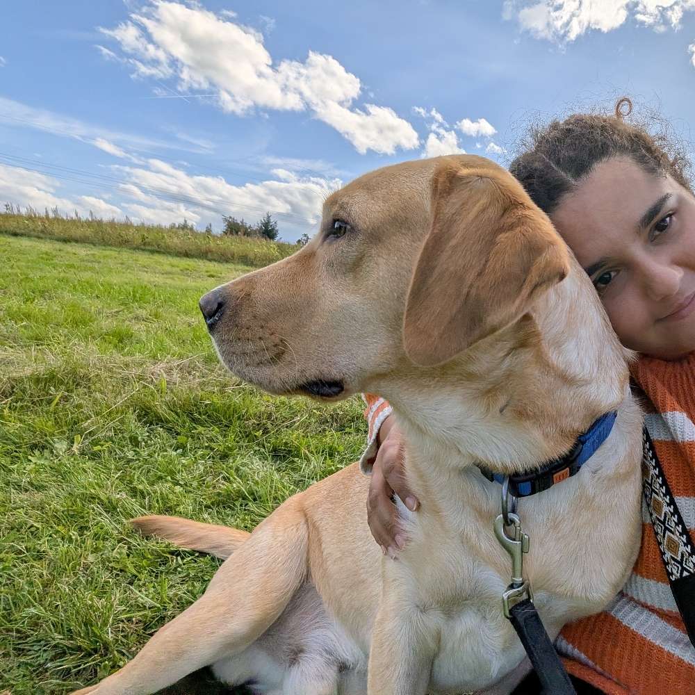 Hundetreffen-Gemeinsame Gassi-Runden-Profilbild