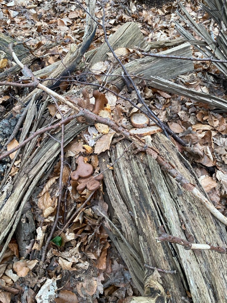 Giftköder-Alte Brotsammlung-Profilbild