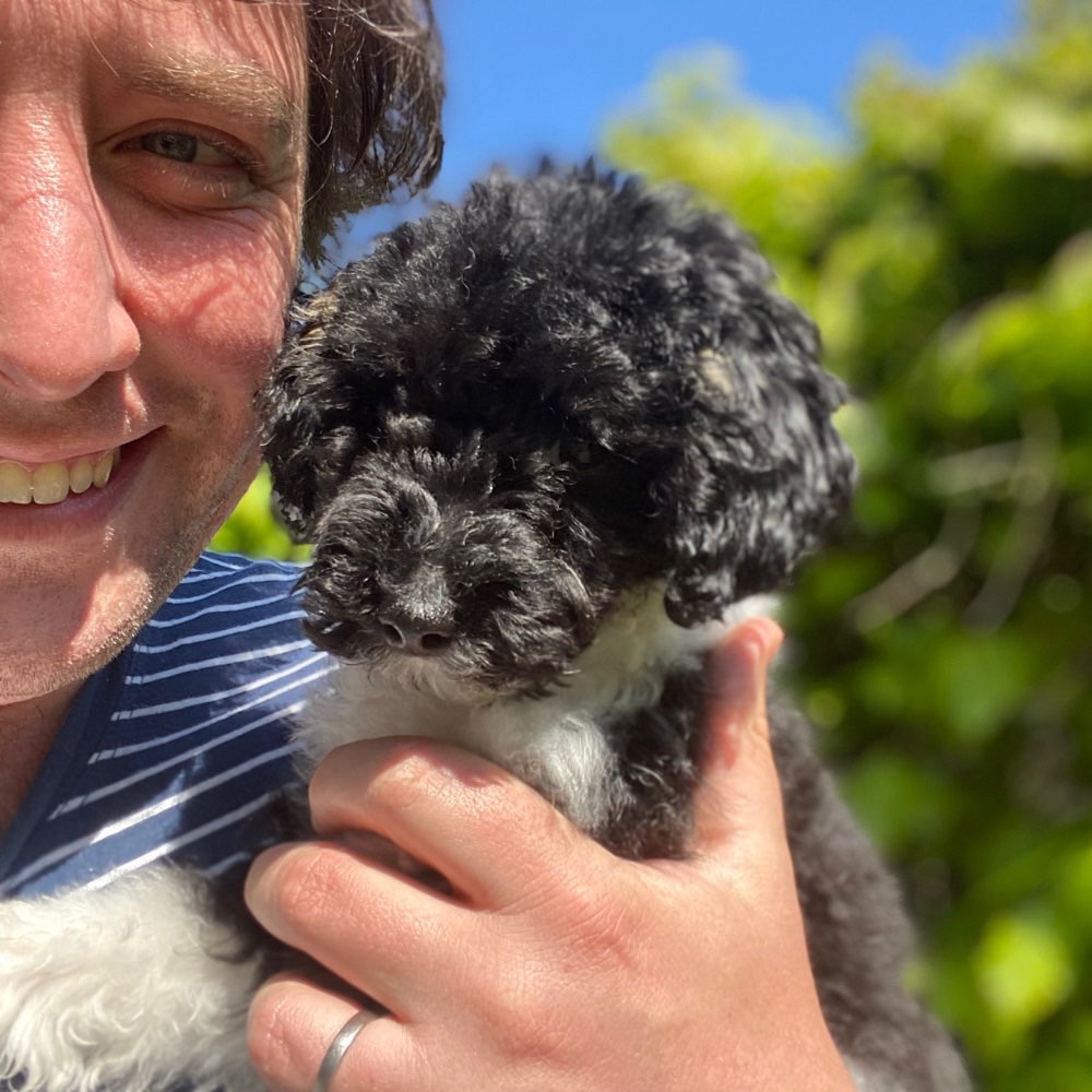 Hundetreffen-Willis Ängste beseitigen-Profilbild