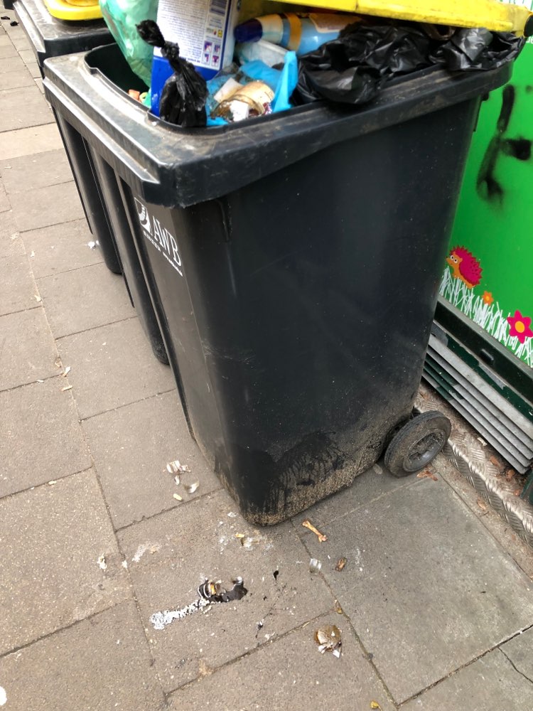 Giftköder-Knochen und Scherben neben Mülleimer-Profilbild