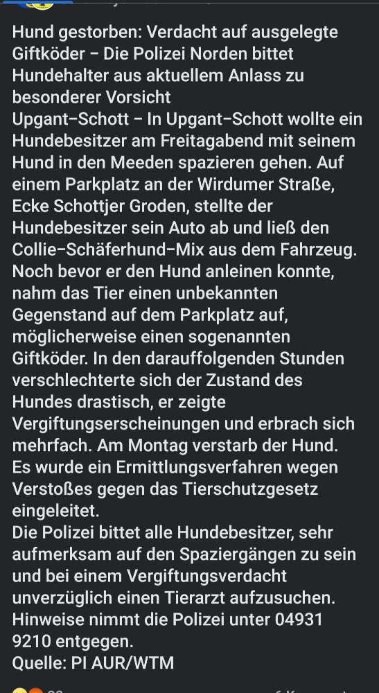 Giftköder-Giftköder-Profilbild