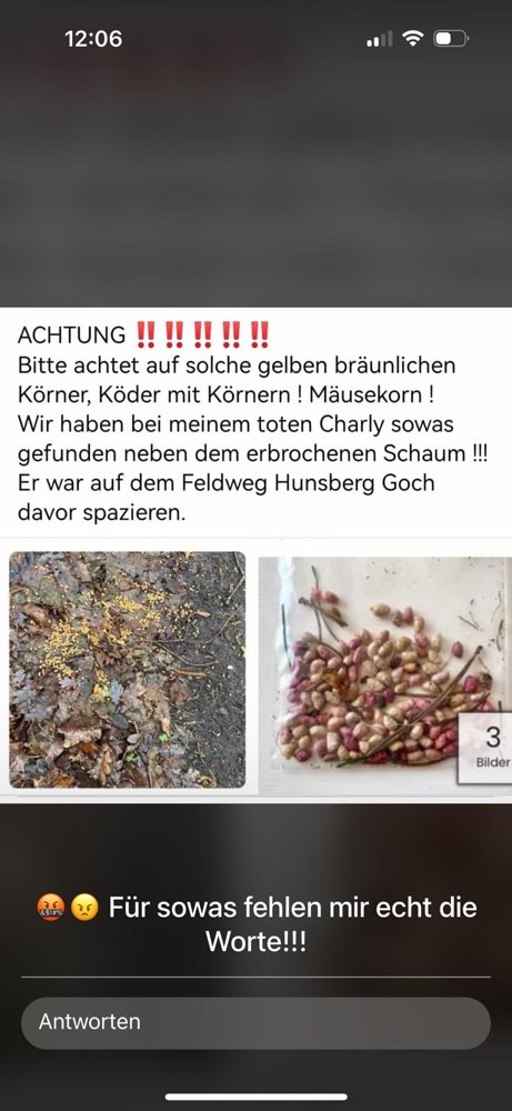 Giftköder-Giftköder-Profilbild