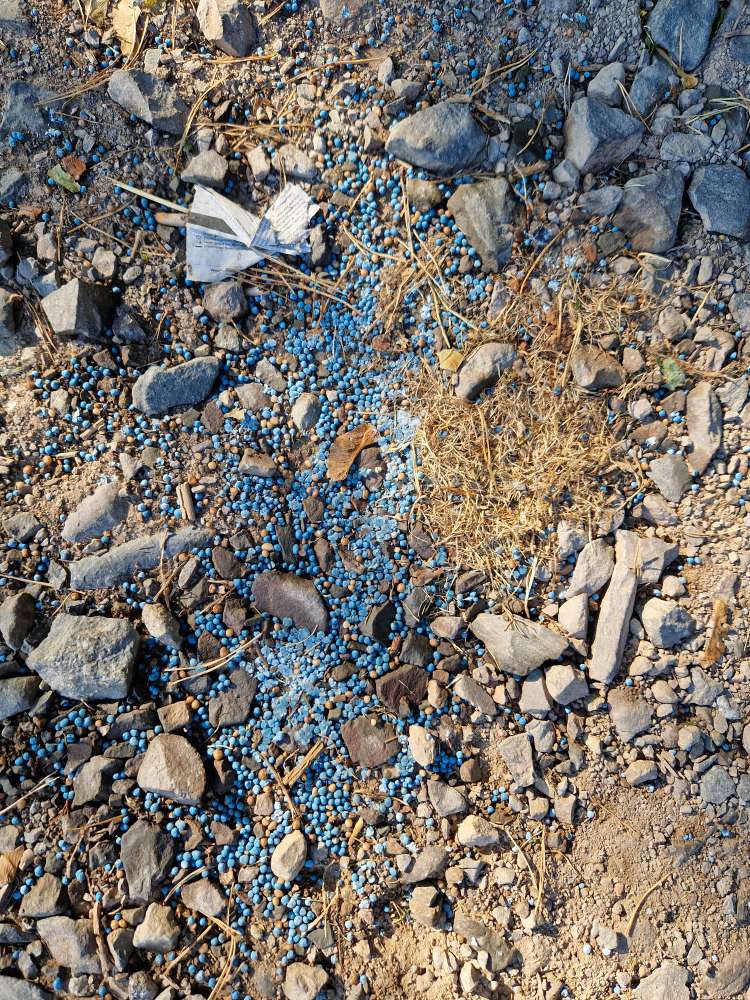 Giftköder-Möglicher Giftköder-Profilbild