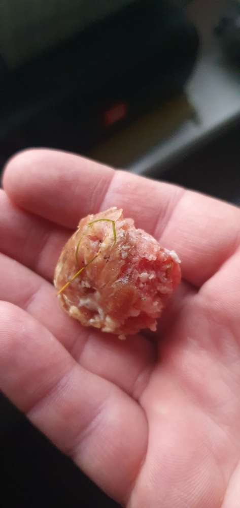 Giftköder-Rohes Mett-Profilbild