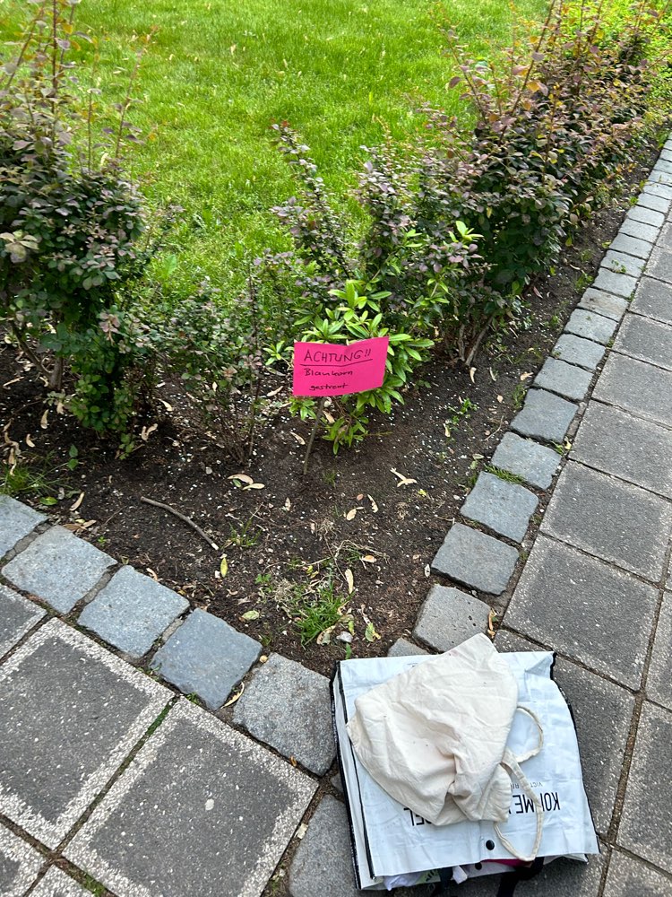 Giftköder-Schneckenkorn in Blumenkübeln-Profilbild