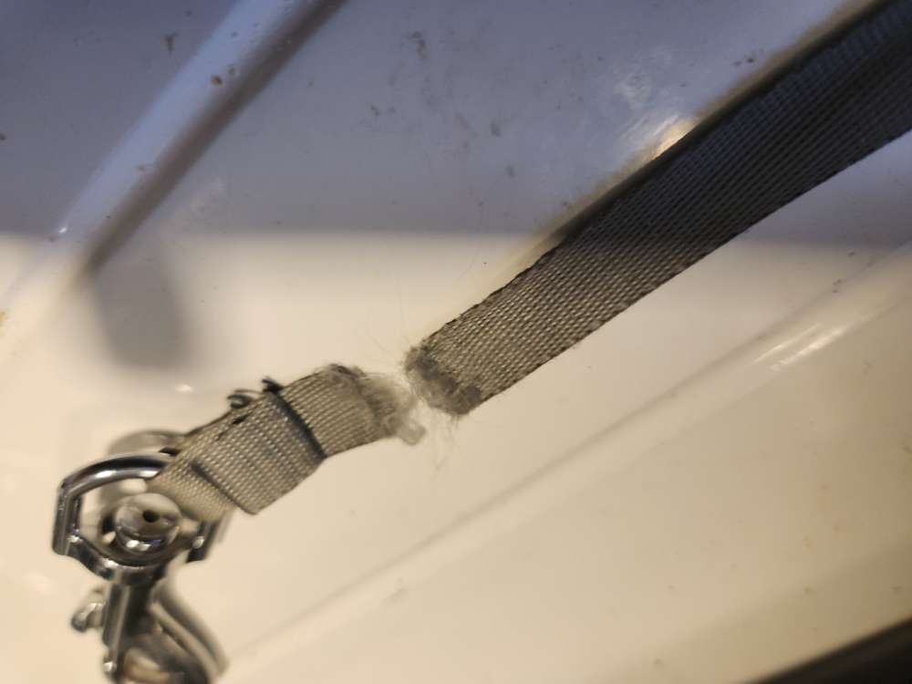 Giftköder-Versuchter mutmasslicher Hundediebstahl-Profilbild