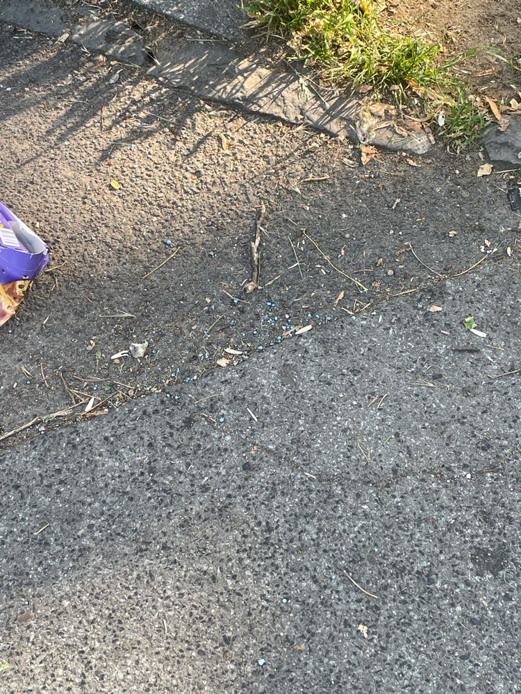 Giftköder-Eventuell schneckenkorn!!!-Profilbild